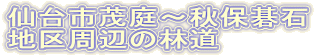 sΒ`Hی
nӂ̗ѓ